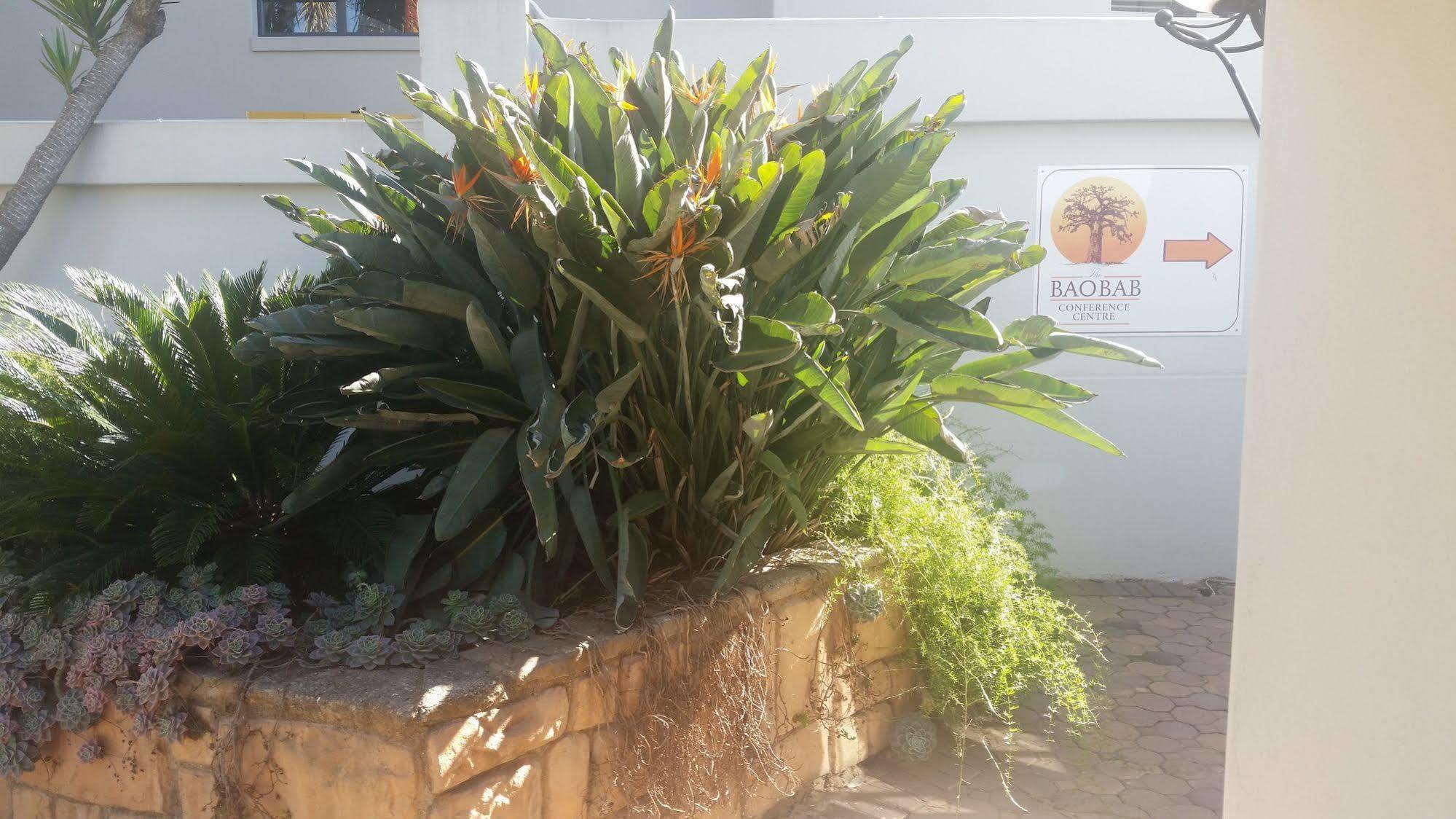 Villa The Baobab à Midrand Extérieur photo